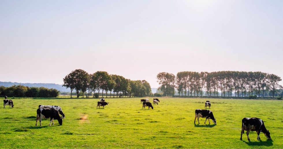 7 itens para o produtor rural